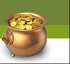 Gold Coins Kettle